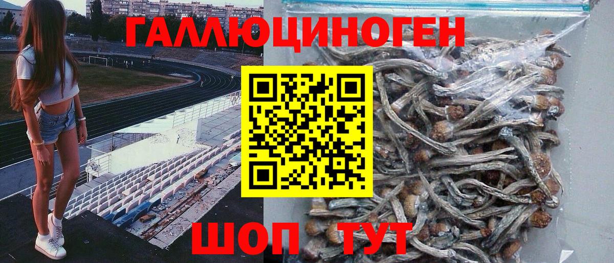 Псилоцибиновые грибы прущие грибы Гусь-Хрустальный