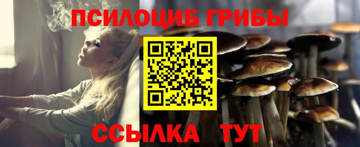Гусь-Хрустальный  Псилоцибиновые грибы MAGIC MUSHROOMS  Вход с VPN 